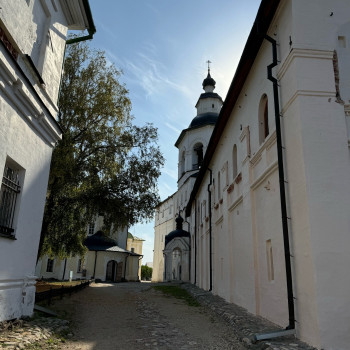 46.jpg